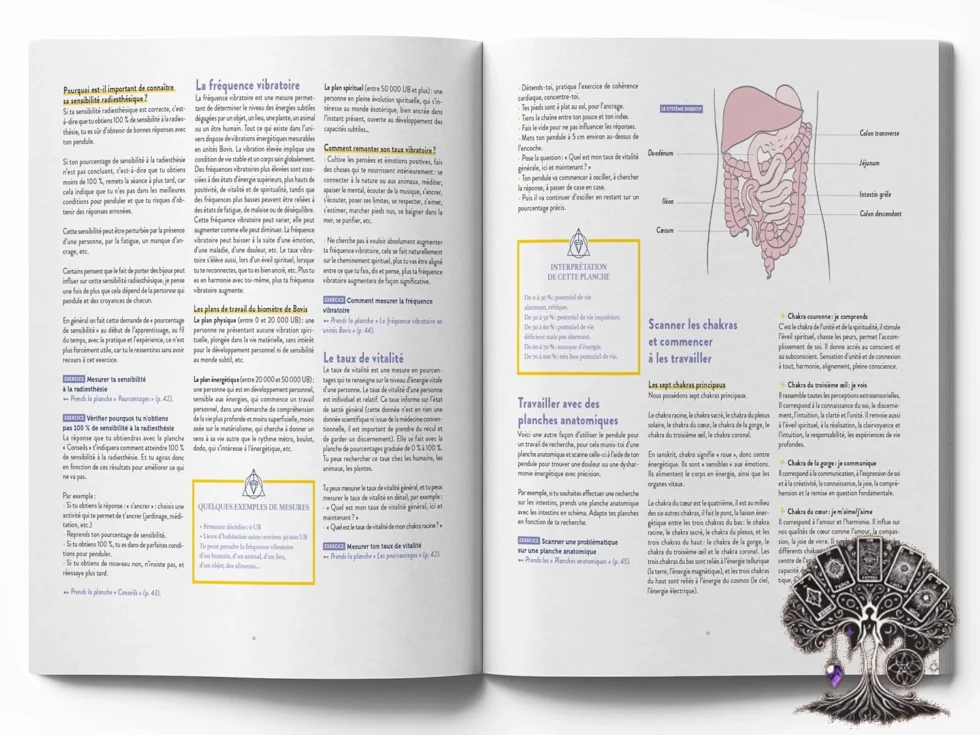 Mon Guide du Pendule - Édition Secret d'Étoile